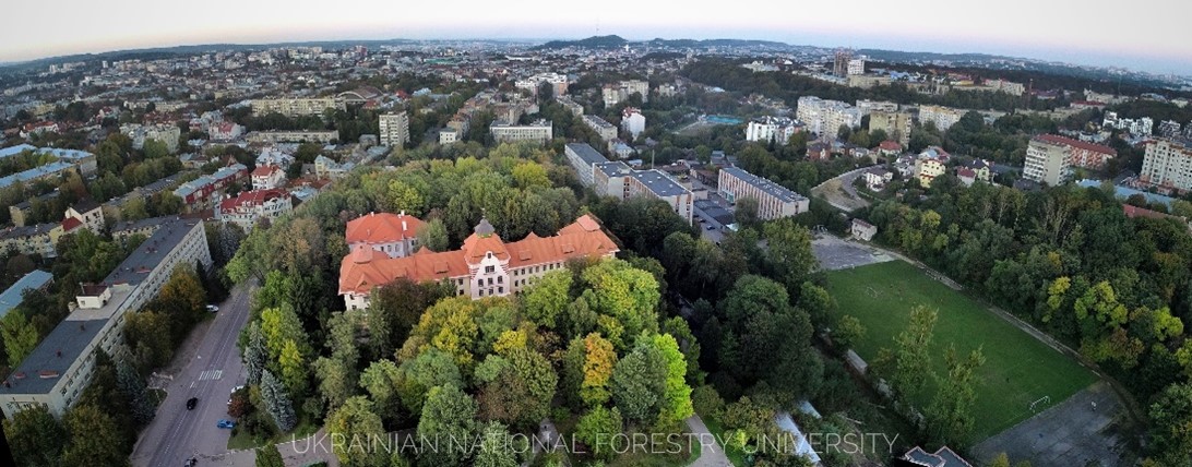 nltu panorama